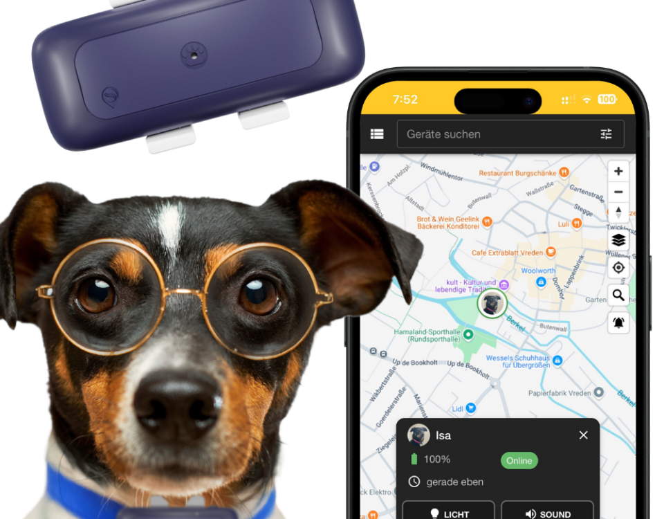 GPS-Tracker Hund