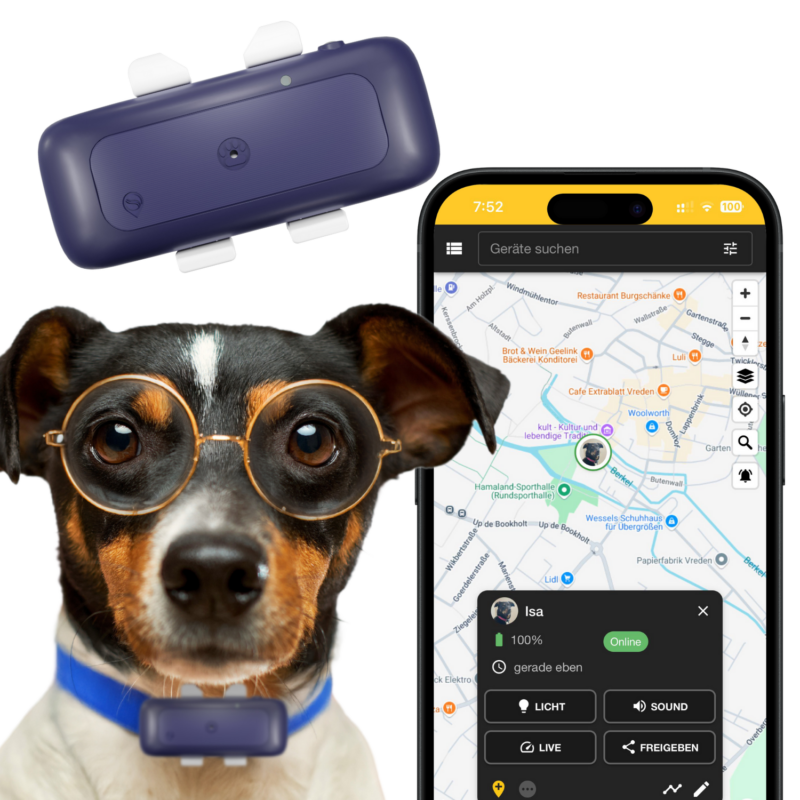 locogps-l1-blau